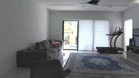 Snapshot of velvettgirl chatting on February 2026 03:24:02 PM VelvetTGirl online show from February 2026 03:24:02 PM