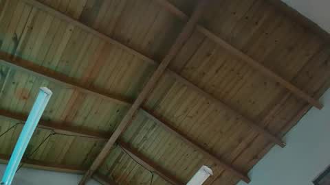 VENUS online show from November 2025 11:57:02 AM