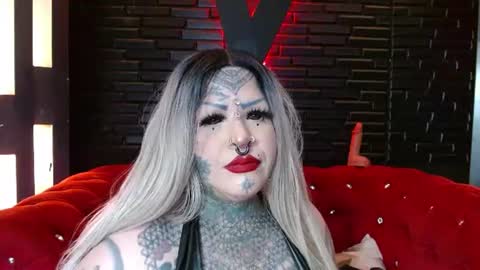 Venus Ink online show from June 2026 12:02:01 PM