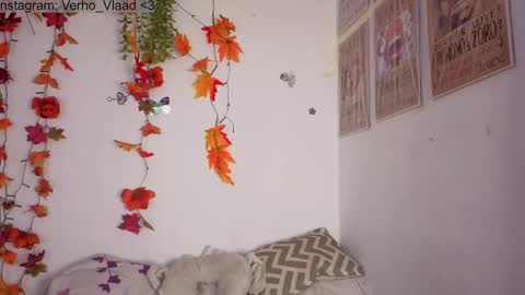 Snapshot of verho_vlaad chatting on October 2025 05:36:02 PM Verho online show from October 2025 05:36:02 PM