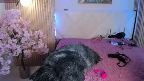 veronica_hill_ online show from July 2026 03:15:02 AM
