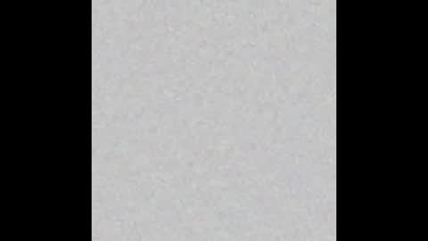 Vero  online show from January 2025 12:31:01 PM