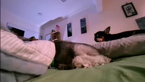 Snapshot of veronnika_hill chatting on January 2026 10:46:01 PM veronica online show from January 2026 10:46:01 PM