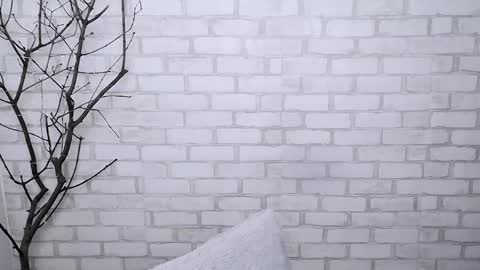 Ana online show from March 2025 11:25:02 AM