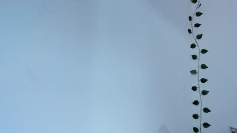 Vianka online show from January 2025 12:05:02 PM