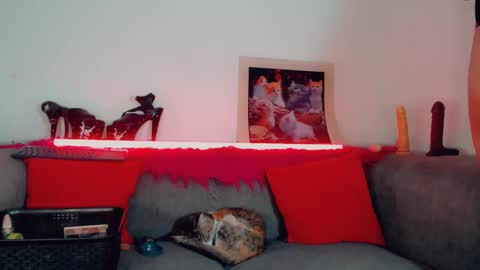 Snapshot of vicky_gill_ chatting on October 2025 07:49:02 PM vicky_gill_ online show from October 2025 07:49:02 PM