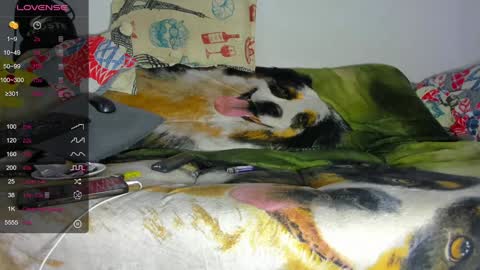 vicky manuela online show from January 2025 12:54:01 AM