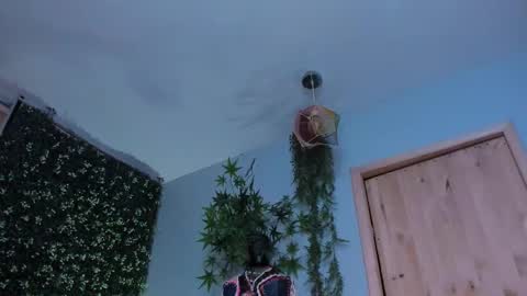 Snapshot of vickyjackson_ chatting on March 2026 10:05:01 PM Victoria online show from March 2026 10:05:01 PM