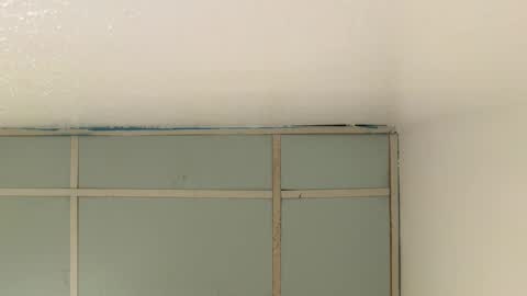 Snapshot of victoryd007 chatting on December 2025 04:52:02 AM victoryd007 online show from December 2025 04:52:02 AM