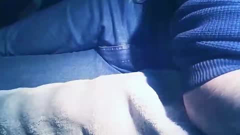 vicvictoree online show from February 2026 07:01:02 PM