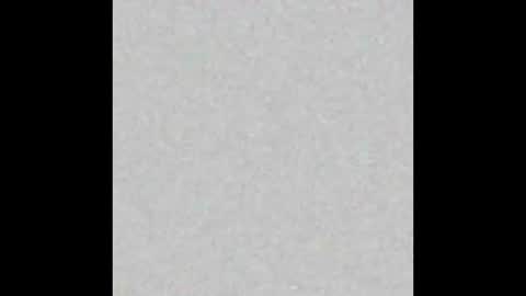 vigond2 online show from March 2026 09:15:02 AM