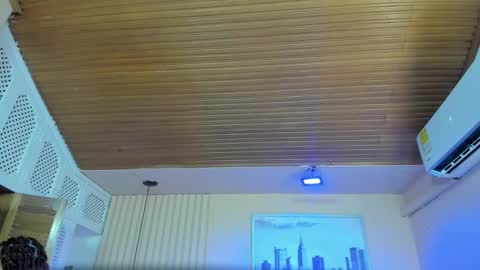 Viiolett online show from December 2025 07:29:02 PM