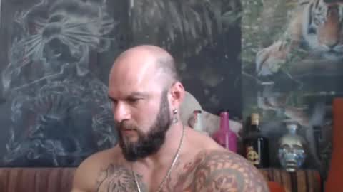 viking online show from October 2025 07:19:02 AM