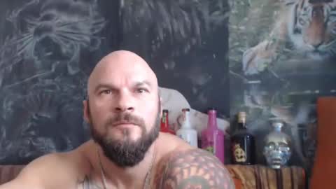 viking online show from October 2025 07:38:02 AM