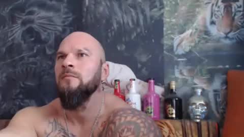 viking online show from November 2025 08:14:01 AM