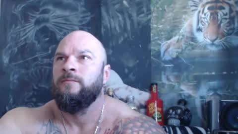 viking online show from April 2026 06:33:02 AM