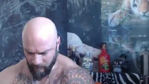 viking online show from April 2026 06:40:01 AM