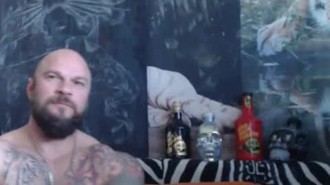 viking online show from May 2026 06:31:02 AM