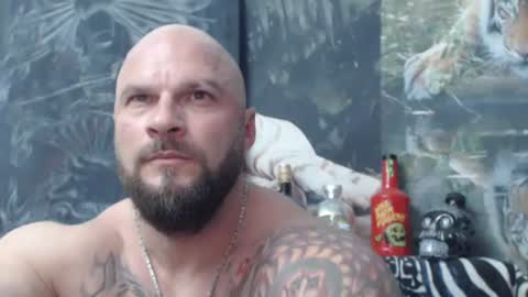 viking online show from June 2026 06:31:01 PM