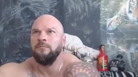 viking online show from June 2026 06:37:02 AM