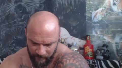 viking online show from June 2026 06:32:02 AM