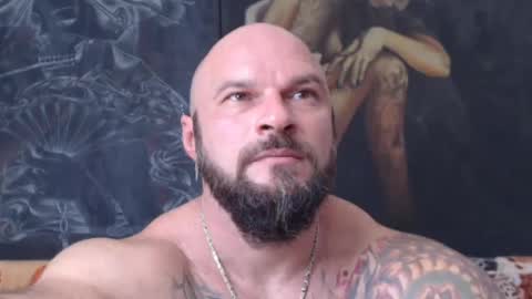 viking online show from July 2026 11:41:01 AM