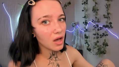 Viola online show from July 2026 08:27:02 AM