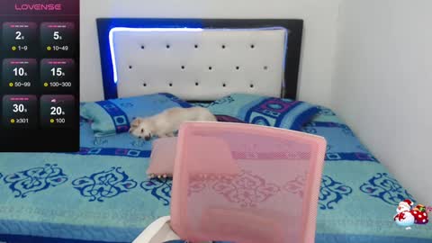 Snapshot of violet_stone22 chatting on December 2024 10:21:01 AM Violeta online show from December 2024 10:21:01 AM