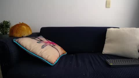 Violeta Gmez online show from March 2025 08:53:01 PM