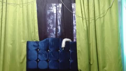 violetta_dreams online show from July 2026 07:24:01 PM