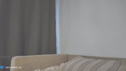 Snapshot of virgiin_lily chatting on January 2025 04:47:01 AM Lily online show from January 2025 04:47:01 AM