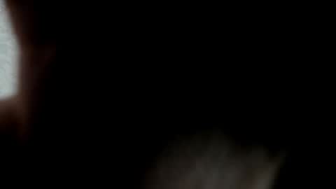 vittoria online show from June 2026 05:47:02 PM
