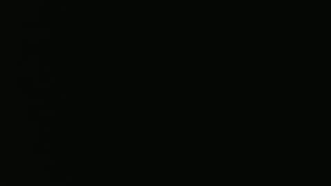 Vivian online show from December 2024 11:13:02 PM