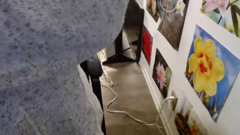 Snapshot of vixenfyre chatting on December 2024 05:59:02 PM Vixen Fyre online show from December 2024 05:59:02 PM