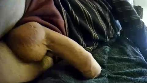 vleeslollie2024 online show from January 2025 07:14:02 AM