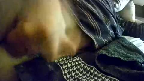 vleeslollie2024 online show from January 2025 07:21:02 AM