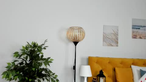 Snapshot of vonen_ray chatting on February 2026 09:24:02 AM Vonen online show from February 2026 09:24:02 AM