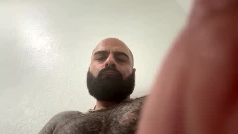 Snapshot of waappp chatting on November 2025 07:45:02 PM waappp online show from November 2025 07:45:02 PM