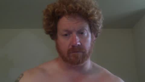 wadonis online show from May 2026 07:42:02 PM