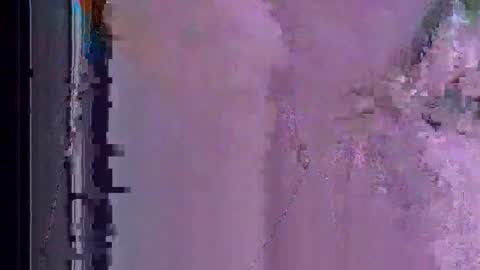 wallsend74 online show from May 2026 06:16:01 PM