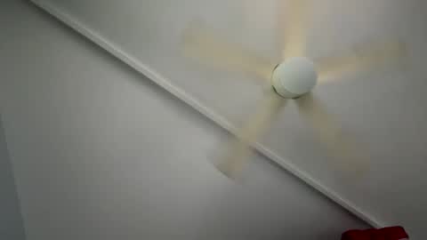 Snapshot of wan2cum4you chatting on February 2025 01:02:02 AM wan2cum4you online show from February 2025 01:02:02 AM