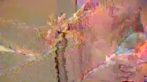 Snapshot of want2cum4gal chatting on December 2024 10:47:01 PM want2cum4gal online show from December 2024 10:47:01 PM