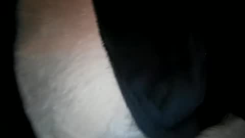 Snapshot of wantobone2 chatting on February 2026 11:14:02 AM wantobone2 online show from February 2026 11:14:02 AM