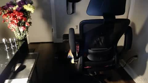 wasted_daze_ online show from October 2025 10:34:02 AM