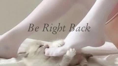 Angel A online show from February 2025 08:08:01 AM