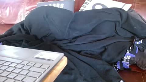 Snapshot of watchedging chatting on December 2024 10:21:01 PM Hereforfun online show from December 2024 10:21:01 PM