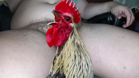 classified online show from December 2024 11:33:02 PM