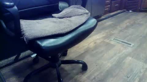 Snapshot of wayne1311 chatting on February 2026 06:46:01 PM wayne1311 online show from February 2026 06:46:01 PM