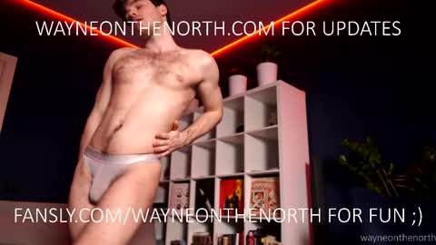 Snapshot of waynenorth chatting on April 2026 05:03:01 PM waynenorth online show from April 2026 05:03:01 PM