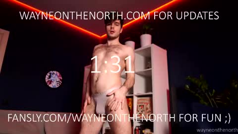 Snapshot of waynenorth chatting on May 2026 02:13:02 PM waynenorth online show from May 2026 02:13:02 PM
